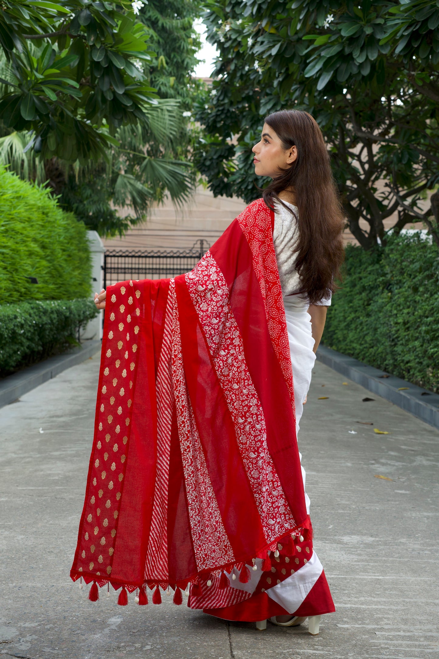 अतरंगी Saree - Red Elegance